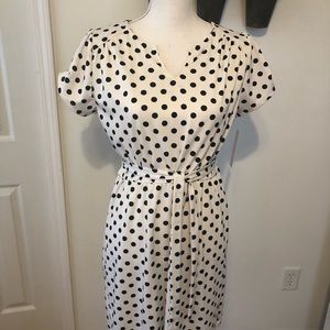 NWT Loveapella Polka Dot / Aberdeen Knit Dress
